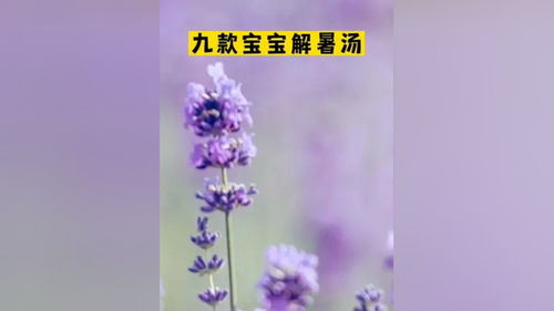 生活哲理小常识(生活哲理事例)