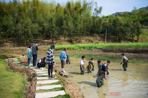 山村的生活小常识(山村生活小练笔)