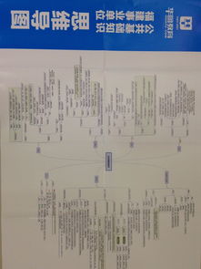 公基生活常识视频(公共基础之生活常识)