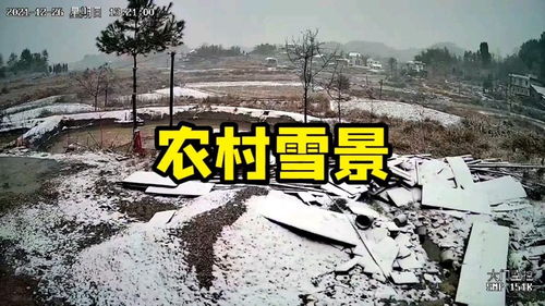 生活小常识下雪天(下雪冷知识)