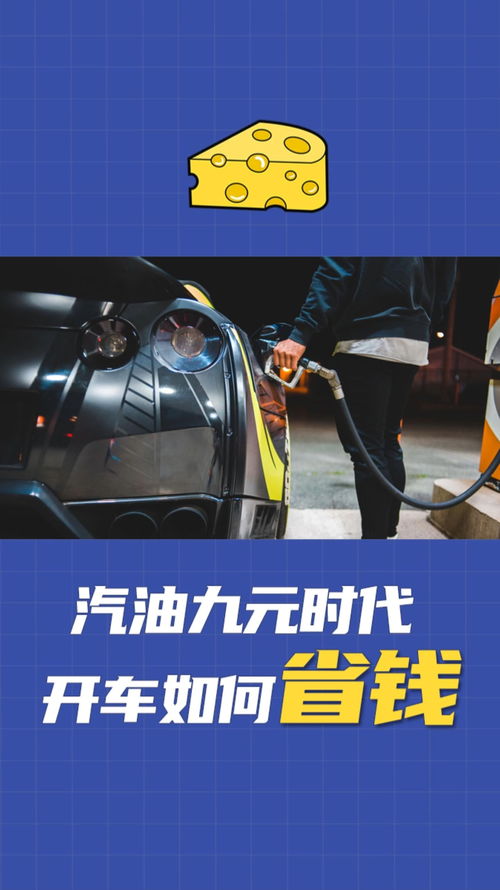 生活用车常识大全(生活汽车图片)