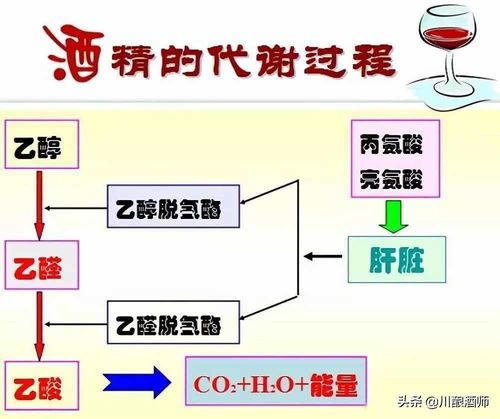 生活常识快速解酒(快速解酒秘方)