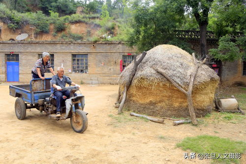 山村生活技巧小常识(山村生活尽悠闲免费阅读)