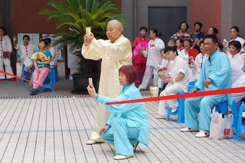 生活常识太极(太极生活化趣味无穷)