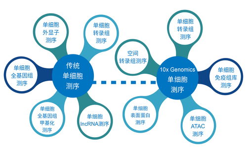 核酸检测生活小常识图片(核酸检测生活小常识图片高清)