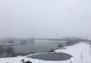 雪天生活常识大全(雨雪天气生活小常识)