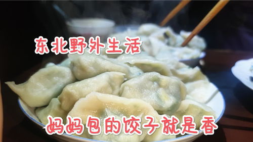 生活小常识怎样包饺子视频(怎么包饺子的视频 简单)