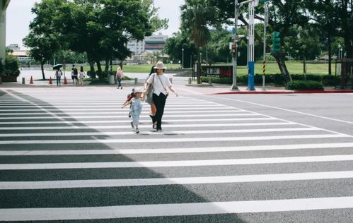 关于马路的生活常识(关于马路的生活常识英语)