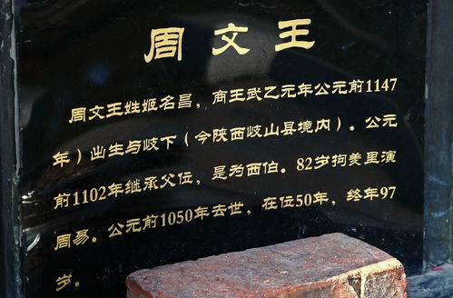 生活常识周易文化(易错生活常识)