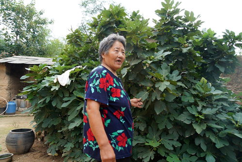 大妈缺少生活小常识(大妈缺的三种族)