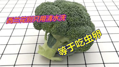 厨房生活常识小妙招(厨房生活小妙招有哪些)