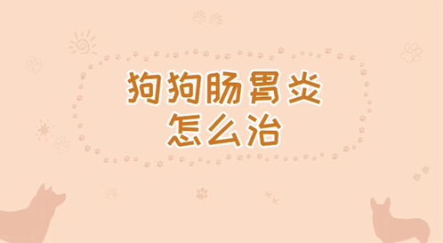 生活常识图文视频(生活常识图文视频教程)