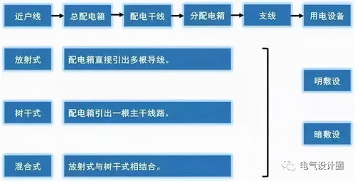 小白的生活常识(生活 小白)