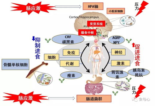 热的生活常识(生活中的热现象及其原理)