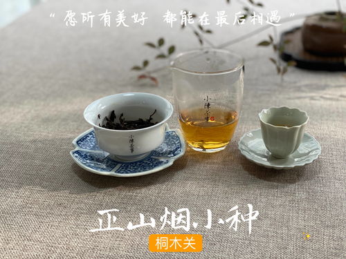 生活小常识泡茶方法(泡茶的几种方法)