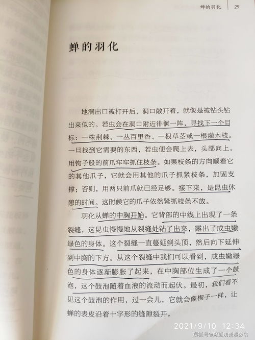 记录昆虫生活常识中文(记录昆虫生活常识中文翻译)