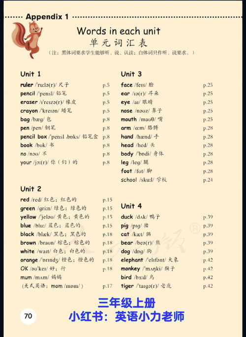 小学英语单词日常生活常识(小学英语单词日常生活常识汇总)