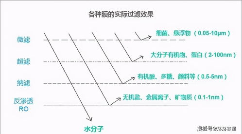 虹吸作用生活常识(虹吸的运用范围与价值)