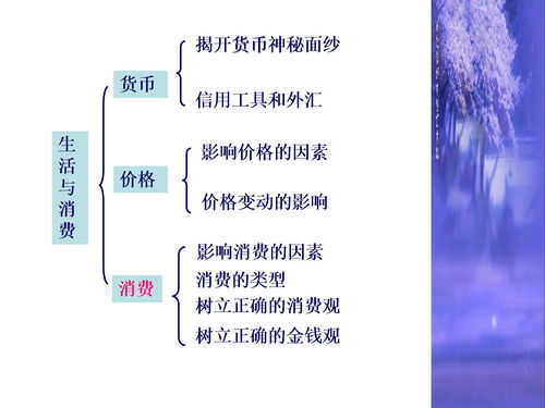 经济生活常识ppt(经济生活知识点梳理)