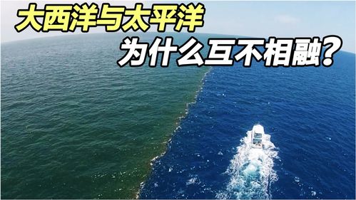 海知道生活小常识(海知道师鹏简谱)