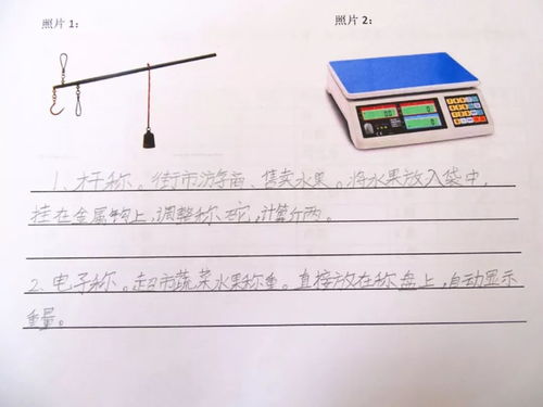 生活中数学常识三年级(生活中的数学知识三年级下册)