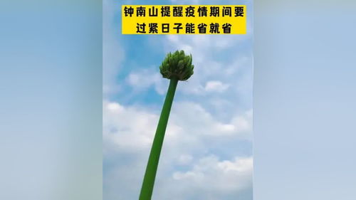 女性精致生活必备常识(精致女人生活必备物品)