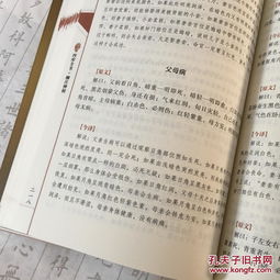 生活常识风水玄学(生活常识风水玄学大全)