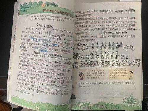 生活常识技巧两百字小学生(生活常识200字)