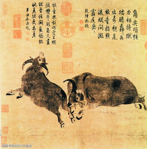 学习生活常识字画(认识生活中的字画报)