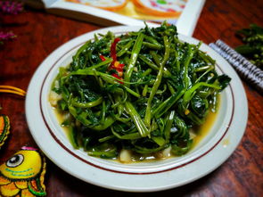 空心菜生活常识(空心菜的优缺点)