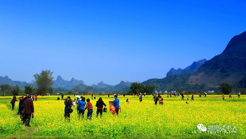 少数民族的风俗和生活常识(少数民族的民族风俗)