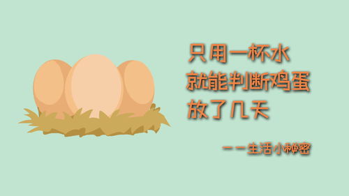 改善生活小常识(改善生活50法)