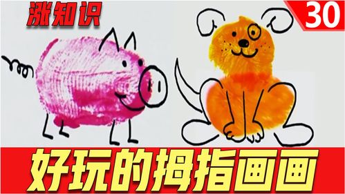 生活小常识画画(生活小常识怎么写?)