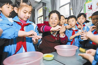 大大生活小常识(生活小常识贴士)