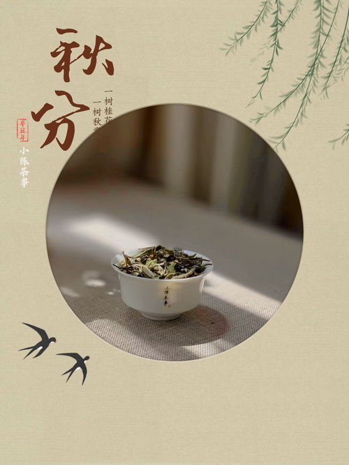 生活饮茶小常识(日常饮茶应注意的问题)