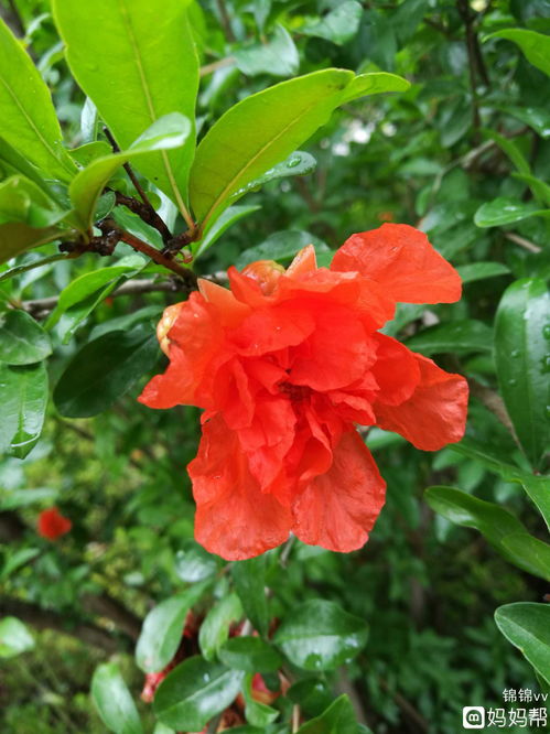 悦宝生活小常识(悦宝贝节目最新一期)