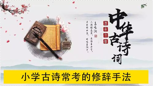 生活中常见的语文常识(生活中的语文知识相关资料)