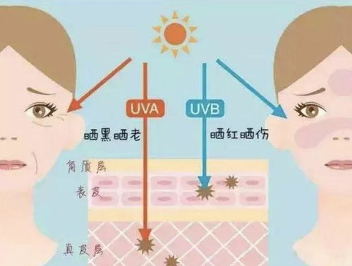 白斑生活注意常识(白斑需要注意什么饮食禁忌)