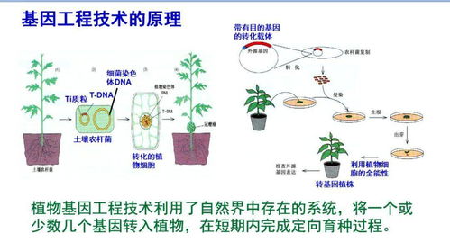 生理的生活常识(生理常识是什么)