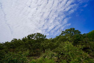 生活小常识山水(生活小常识山水图片)