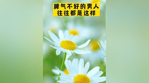 芬芳生活小常识(生活的芬芳叙事作文)