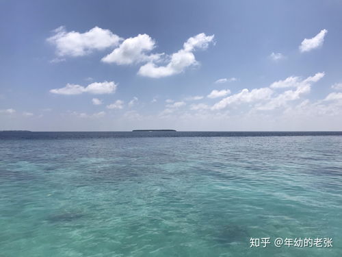 海上生活常识(海上生活方式)