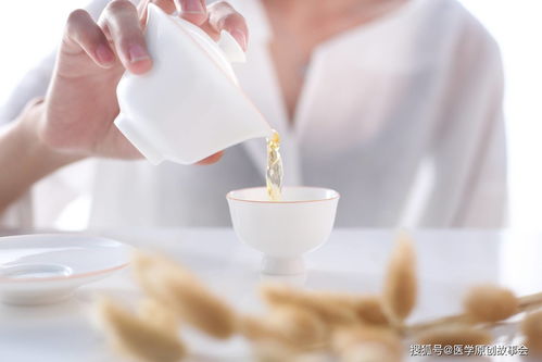 生活小常识夏季喝茶(夏季喝茶喝什么茶养生)