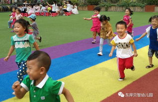 幼儿园学前生活常识有哪些(学前班生活常识)