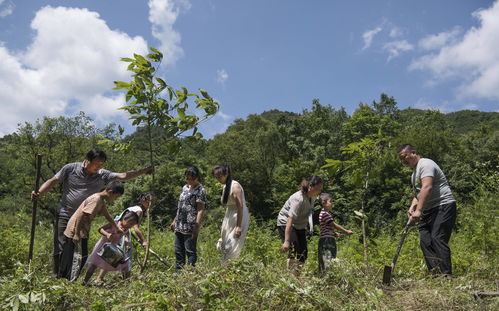 林场居民生活用火常识(林场森林防火)