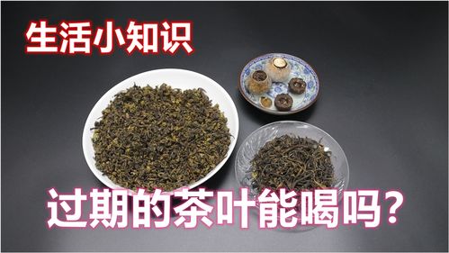 长见识的生活常识(长见识的生活常识是什么)