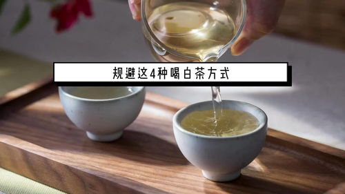 日常泡茶生活常识(日常泡茶技法)