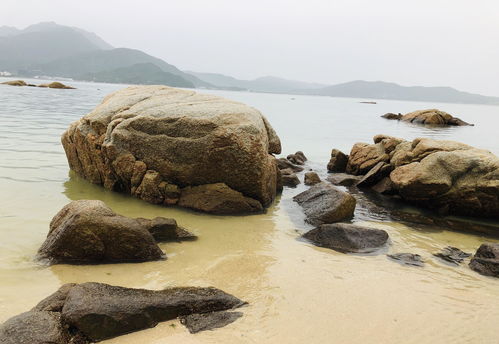 静闲生活小常识(静享闲暇时光的唯美短句)