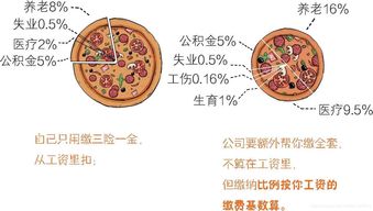 半小时生活常识篇(半小时生活圈是多远)