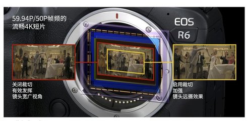 佳能r5和5d4哪个好(佳能r5与5d4)